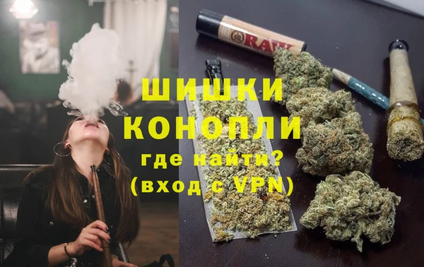 сатива Белоозёрский