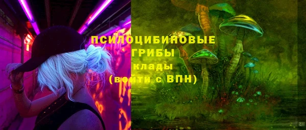 сатива Белоозёрский