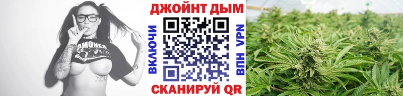 OMG tor  купить   Пикалёво  Канабис конопля 